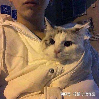 极品合伙人游戏下载