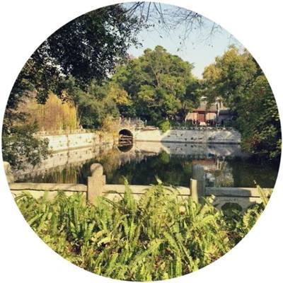 口袋苍穹果盘版下载