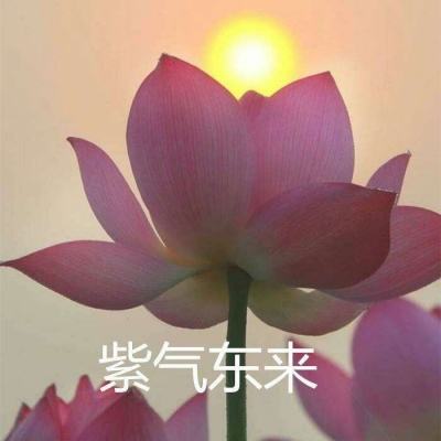 魔兽三国变态版下载